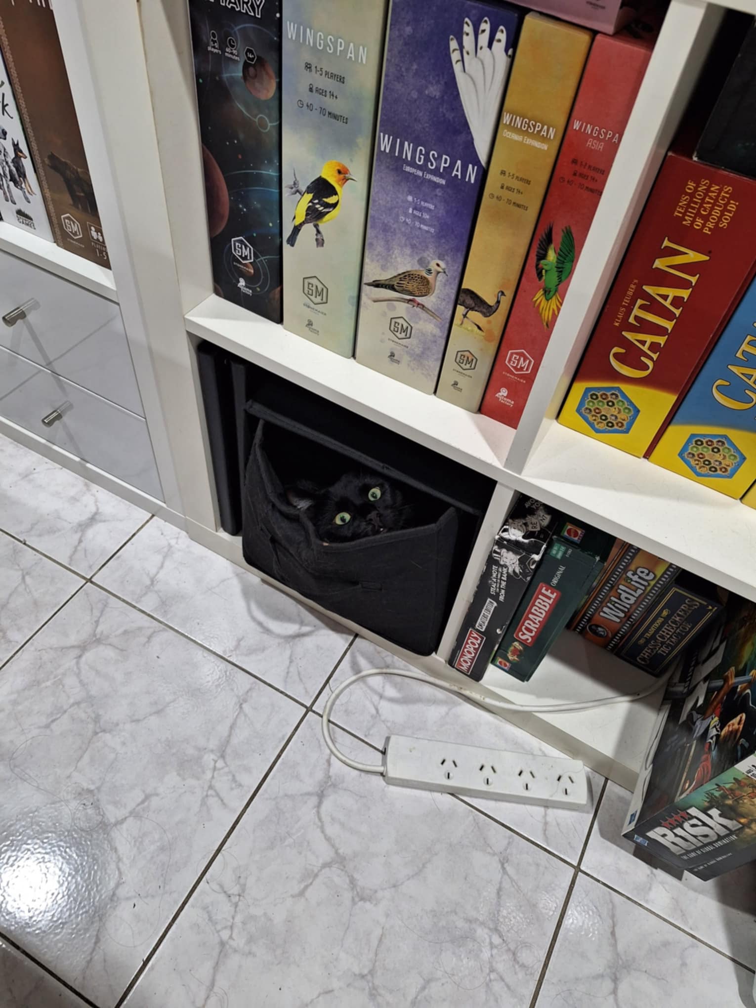 Widget loves napping in this spot in our board game shelf