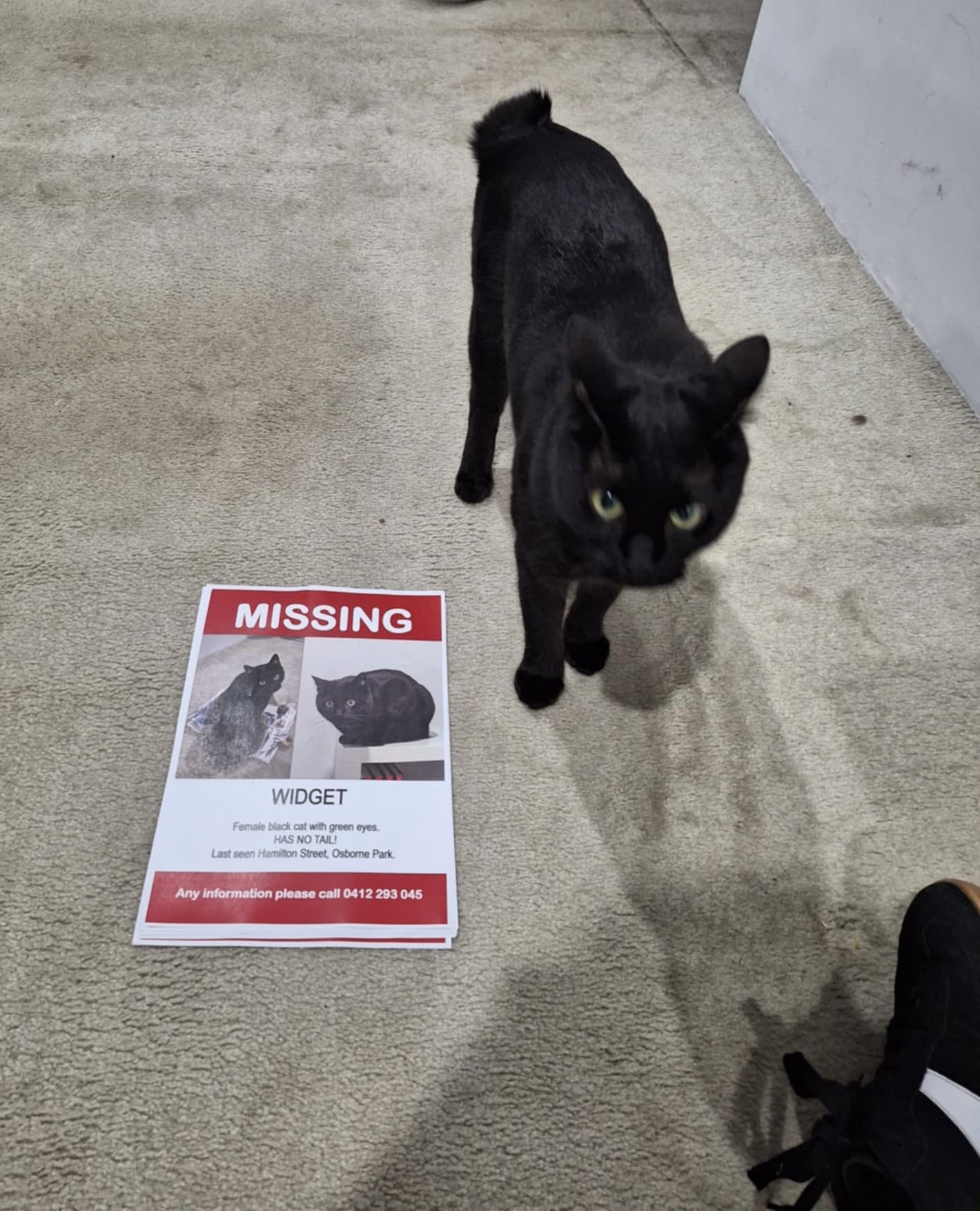 "Yep, she was waiting for us when we got home after printing missing posters..."