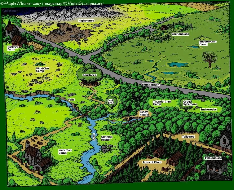 A colourised version of the official map of The Forest