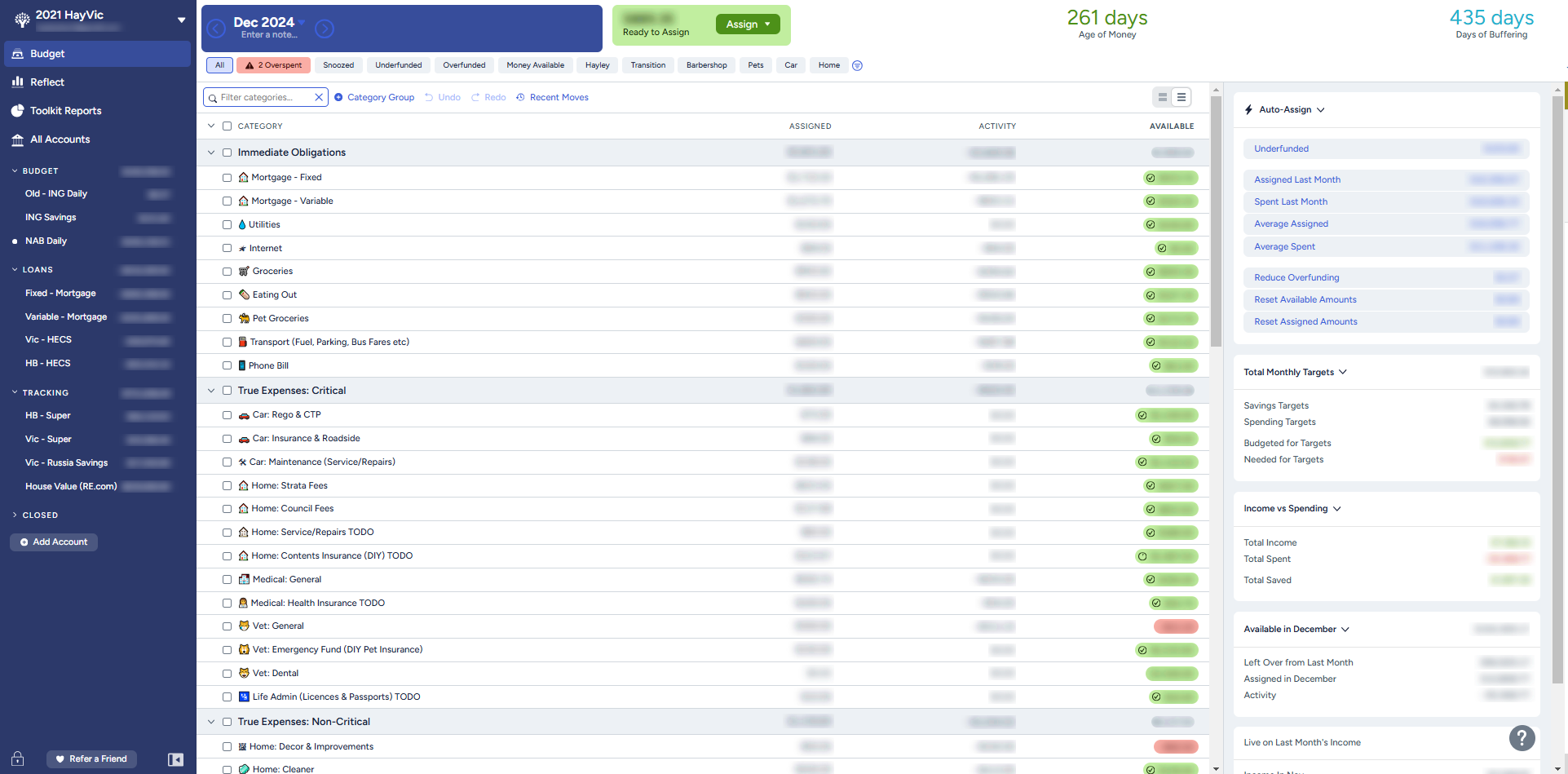 A real screenshot from our budget, with numbers censored